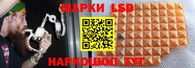 apvp Бийск