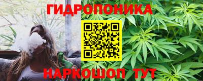 apvp Бийск