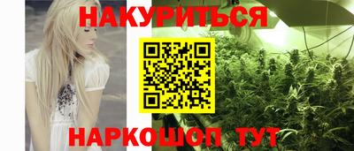 apvp Бийск