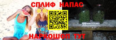 apvp Бийск