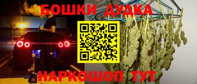 apvp Бийск