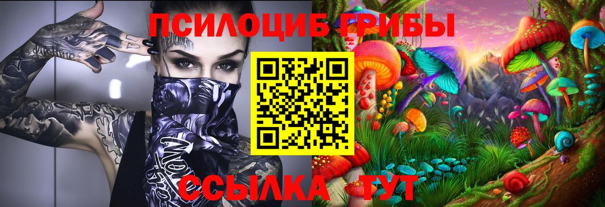 Псилоцибиновые грибы мицелий  Вход с VPN  Ирбит 
