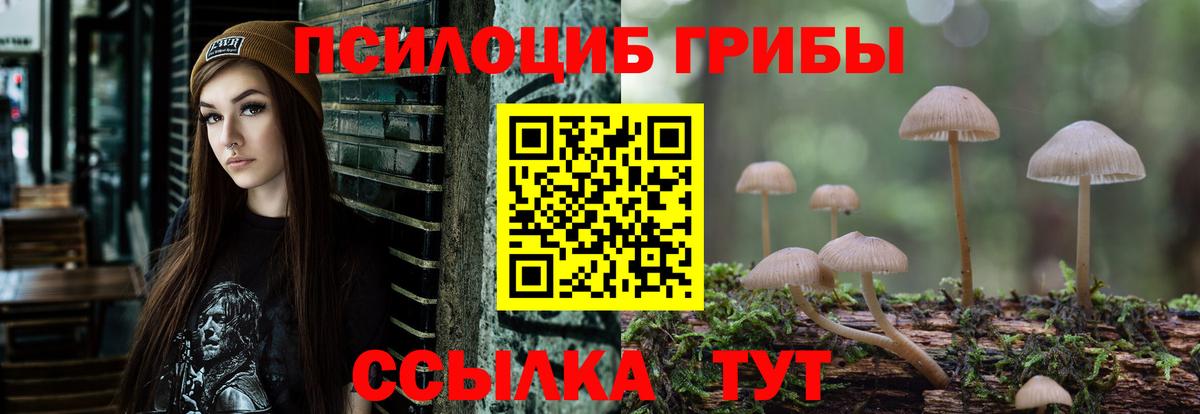 Галлюциногенные грибы Psilocybine cubensis Ирбит